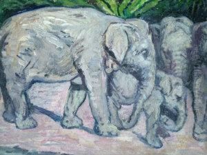 Family Of Elephants