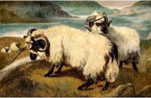 Highland Sheep By A Loch by Joseph Crawhall