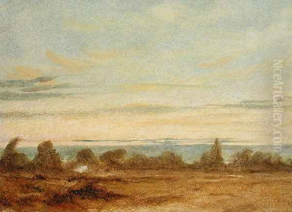 Summer Evening Landscape - view 1