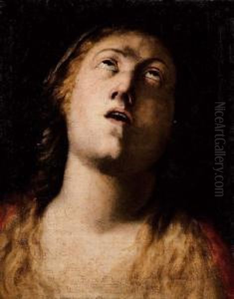 Maddalena - view 1