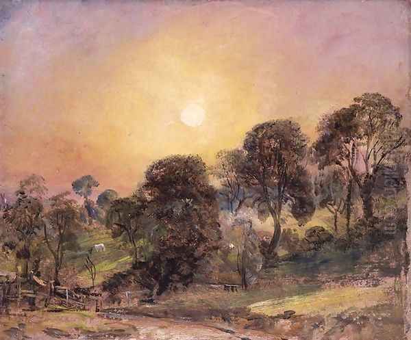 Trees on Hampstead Heath at Sunset - view 1