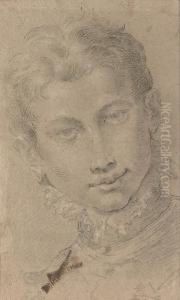A Youth, Bust-length, Wearing A Ruff by Donato Creti
