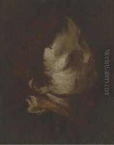 Head Of Young Boy, Looking Up And To The Right by Donato Creti