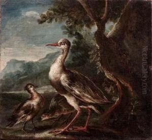 Cicogna Con Due Pulcini
