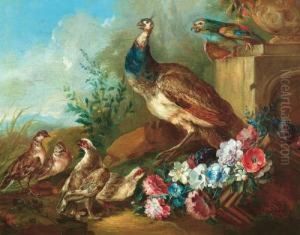 Natura Morta Con Pavone, Pernici E Pappaga by Giovanni Crivelli, Il Crivellone