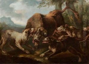 Toro Assalito Da Cani