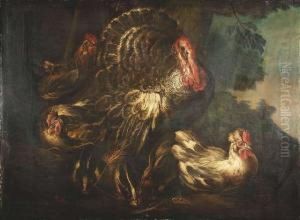 A Turkey With Hens And Rabbits by Giovanni Crivelli, Il Crivellone