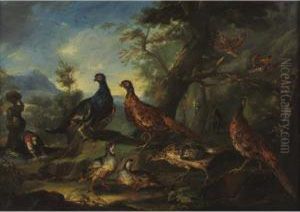 Game Birds In A Landscape With Washerwomen Beyond Game Birds In A Landscape With Washerwomen Beyond