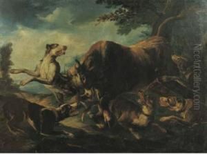 Toro Aggredito Da Cani