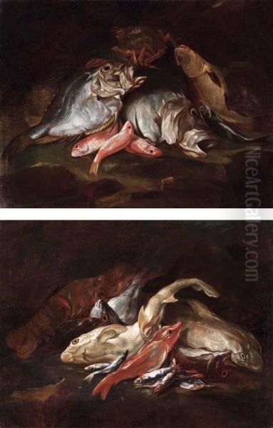 Nature Morte Di Pesci - view 1