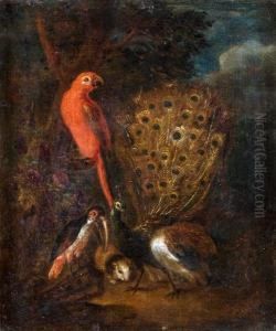 Paesaggio Con Pappagallo, Pellicano, Pavone E Castoro by Angelo Maria Crivelli, Il Crivellone