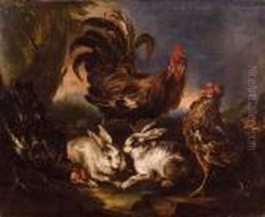 Gallo, Galline E Conigli by Angelo Maria Crivelli, Il Crivellone