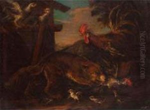 Volpe Che Caccia Le Galline Volpe Che Caccia Le Galline