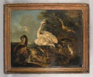 Animali Di Palude by Angelo Maria Crivelli, Il Crivellone