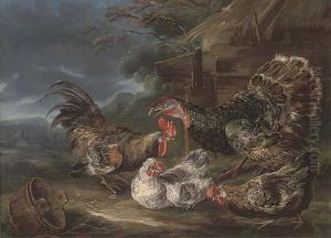 A Turkey