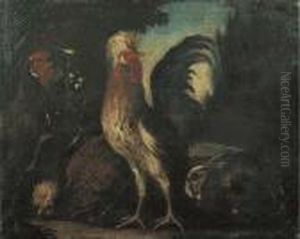 Gallo, Galline E Un Coniglio En Plein Air