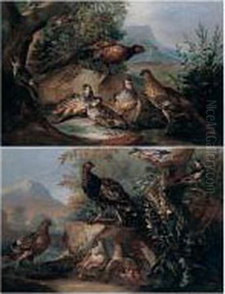 Pheasant, Red-legged Partridge And A Green Woodecker In A Landscape - view 1