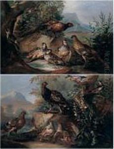 Pheasant, Red-legged Partridge And A Green Woodecker In A Landscape by Angelo Maria Crivelli, Il Crivellone