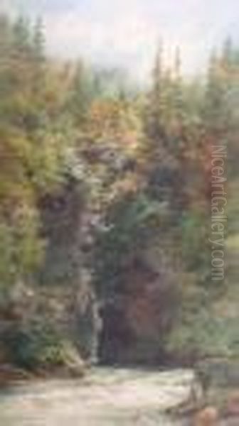 Pont Du Diable, St Jervais, Switzerland - view 1