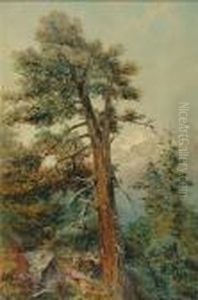 An Alpine View by Arthur Croft