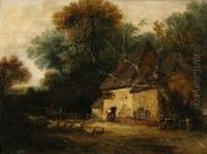Sheep By A Woodland Cottage
