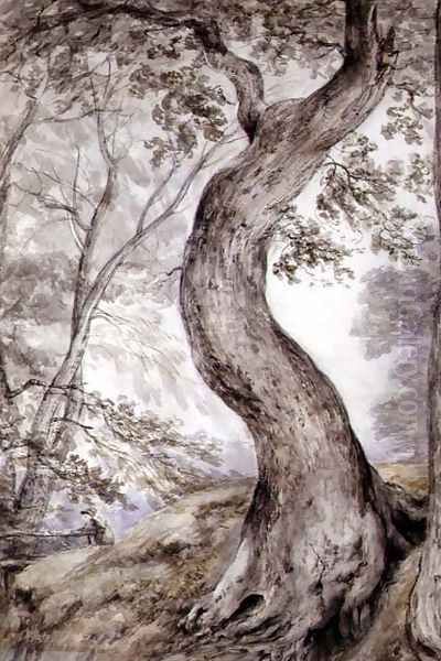Tree at Helmingham, c.1800 - view 1
