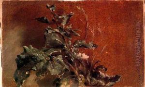 Study of plants
