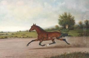Bay Pacer, Believed To Be "yolo Maid", On A Racetrack by Henri Edmond Cross