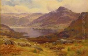 Mountain Lake With Grazing Sheep