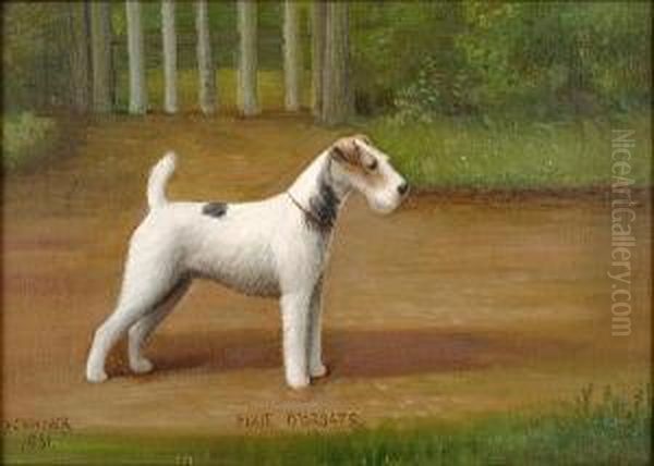 Pixie O'groats; A Wire Haired Fox Terrier - view 1