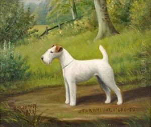 Starbright O'groats; A Wire Haired Fox Terrier