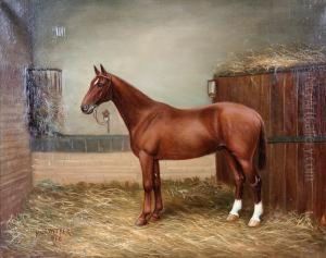 Chestnut Hunter In A Stable