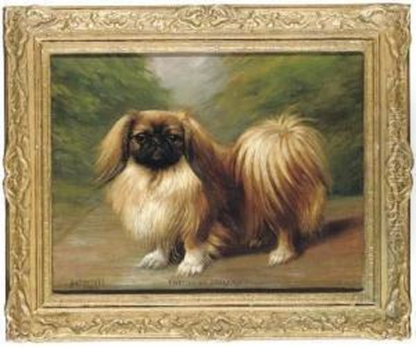 Kwe Li Of Inglenook
, A Pekingese - view 1