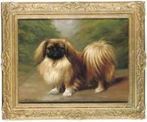 Kwe Li Of Inglenook
, A Pekingese by Henry Crowther