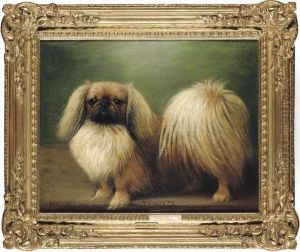 T San Ta To
A Pekingese by Henry Crowther