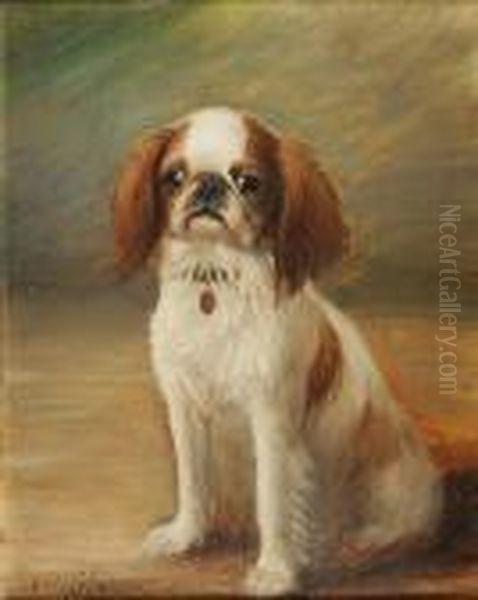 Seated English Toy Spaniel - view 1