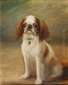 Seated English Toy Spaniel by Henry Crowther