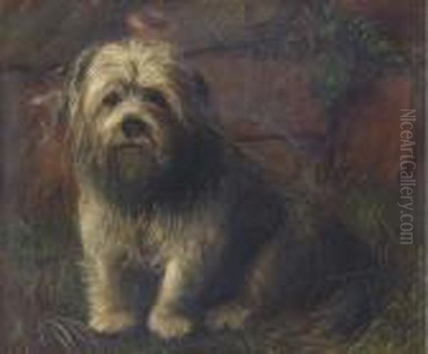 Portrait Of A Terrier - view 1