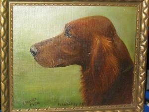 'flashaway Rip' - An Irish Setter