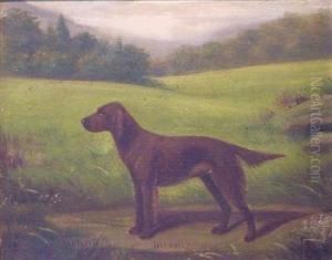 'delaware Peggy' In A Landscape