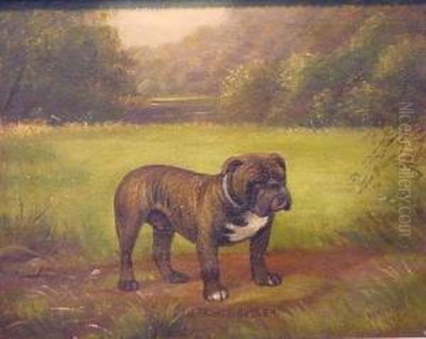'ospringe Bugler' In A Landscape (bulldog) - view 1