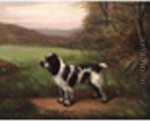 Cocker Spaniel 'wizard Of Albrington' Signed And Inscribed, Oil Oncanvas 12 X 15in by Henry Crowther