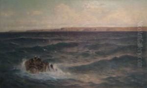Seabirds On A Rocky Outcrop Off The Coast Near Newlyn by William Edwards Croxford