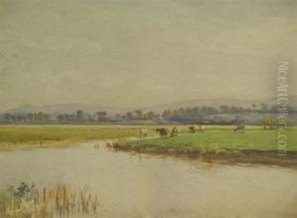 Cows Watering - view 1