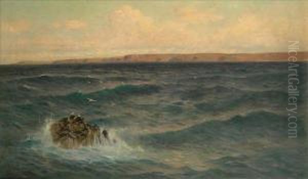 Coastal Scene With Gulls - view 1