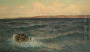 Coastal Scene With Gulls