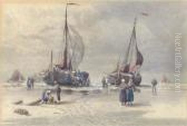 Dutch Pincks On The Beach At Scheveningen - view 1