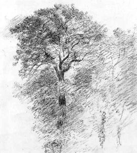 Elm Trees by John Constable