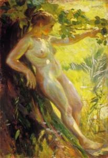 Nude In The Open-air - view 1