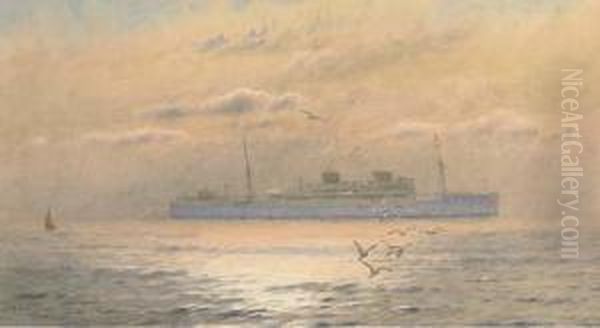A Union Castle Liner In Coastal Waters At Dusk - view 1